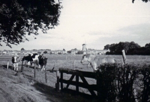 F5803 Gezicht op het dorp en de Hackforter molen, 1967